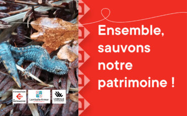 Ensemble, sauvons notre patrimoine ! Triton alpestre