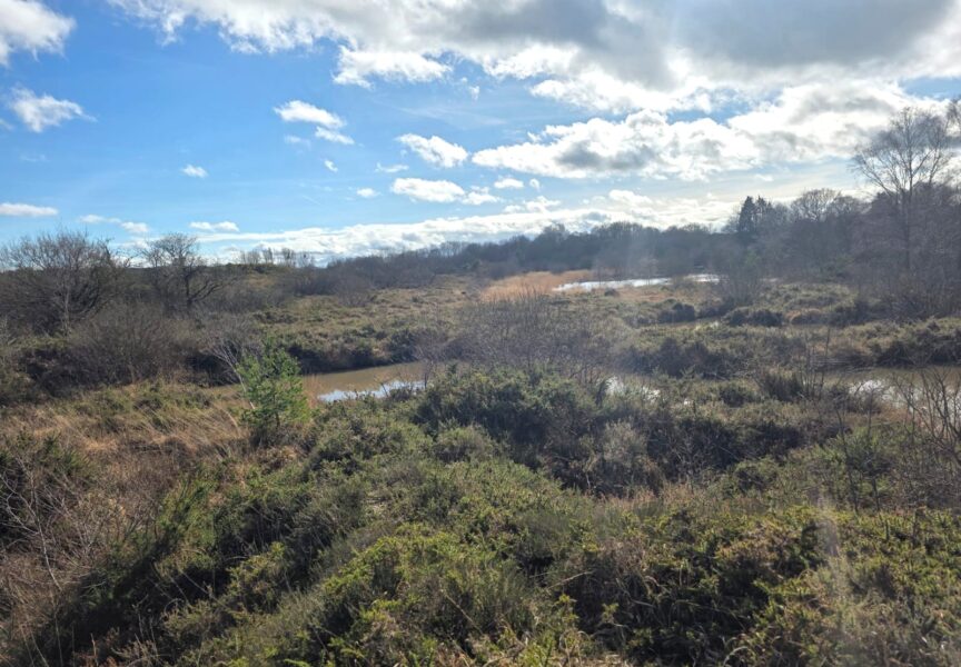 vu d'une partie des Landes de la Poterie à Lamballe-Armor, sous un temps ensoleillé. Il y a un ruisseau qui traverse la végétation et une petite étendue d'eau au loin.