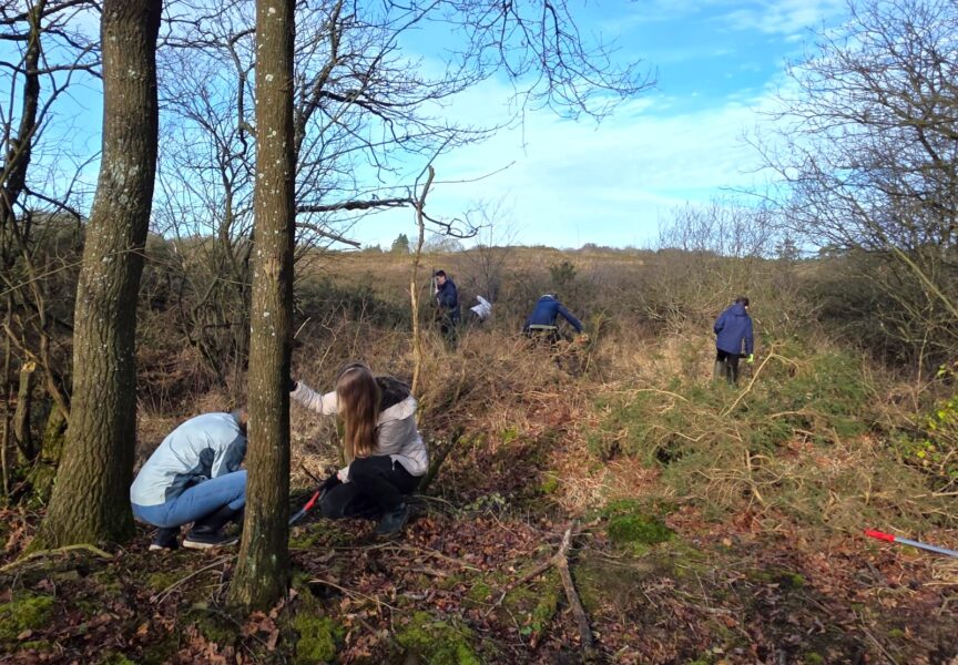 5 personnes sont accroupies dans les Landes de la Poterie à Lamballe-Armor. Ils enlèvent des branches et débroussaillent.
