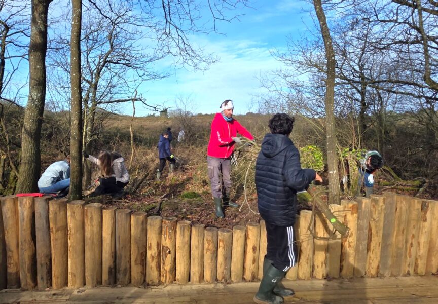 5 jeunes et 1 adultes enlèvent les branches mortes du sol, aux Landes de la Poterie