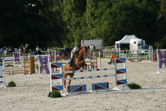 Concours du 25 et 26 juillet 2015 Organisé par Julien Murier