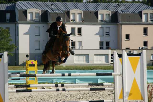 Concours du 25 et 26 juillet 2015 Organisé par Julien Murier