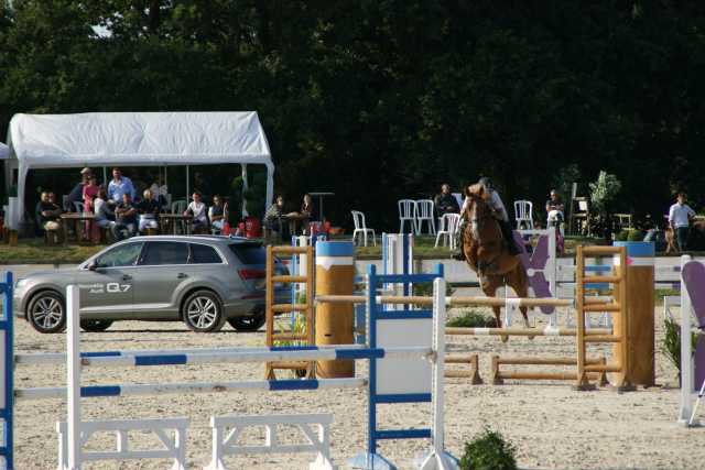 Concours du 25 et 26 juillet 2015 Organisé par Julien Murier