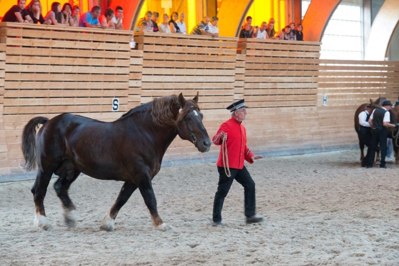 Photos du spectacle Opalà