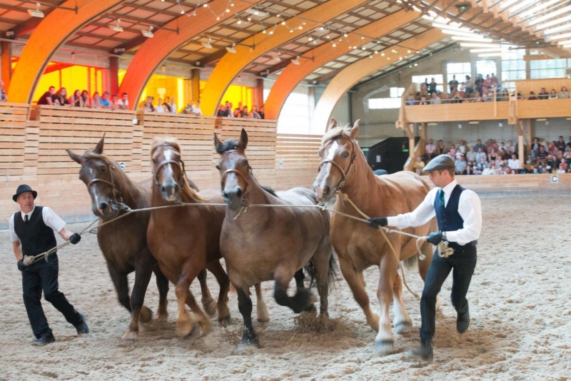 Photos du spectacle Opalà