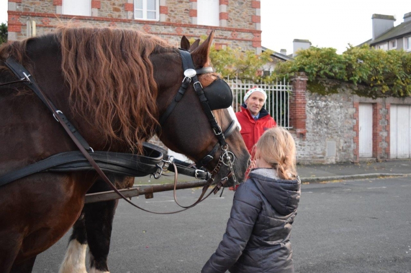 Les Écuries du Père Noël 2015