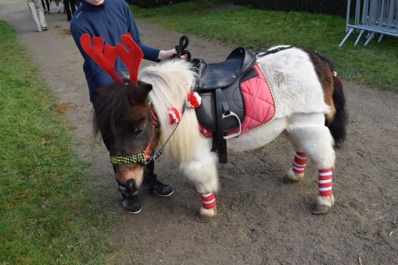 Les Écuries du Père Noël 2015