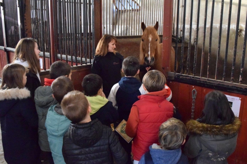 Les après-midis du Haras 