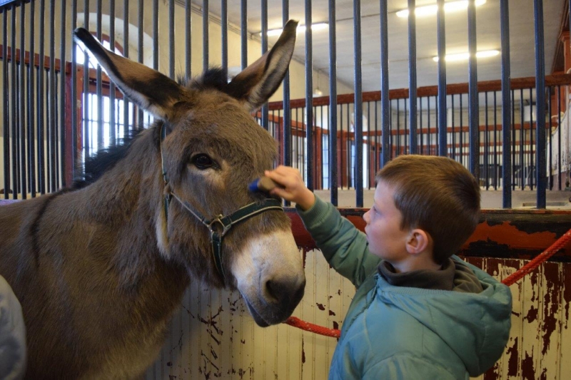 Les après-midis du Haras 