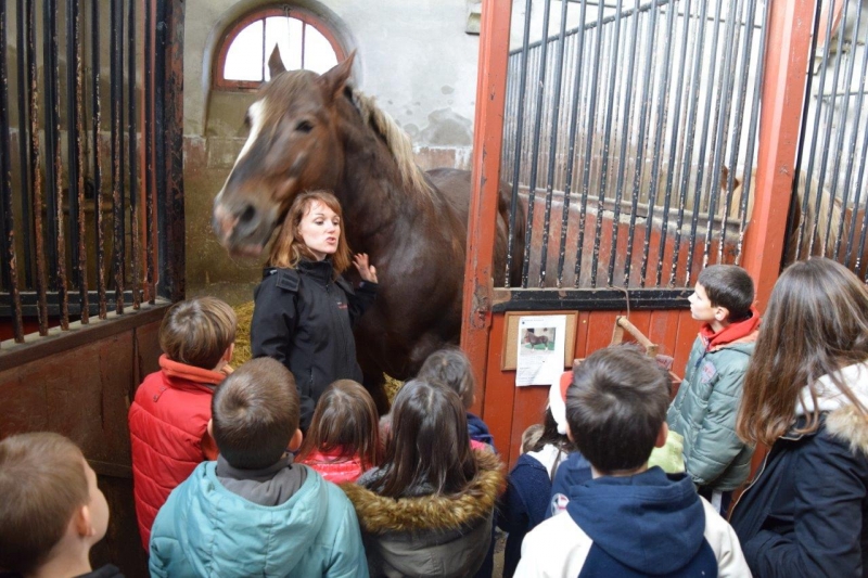 Les après-midis du Haras 