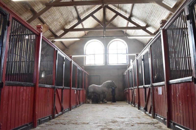 Les après-midis du Haras 