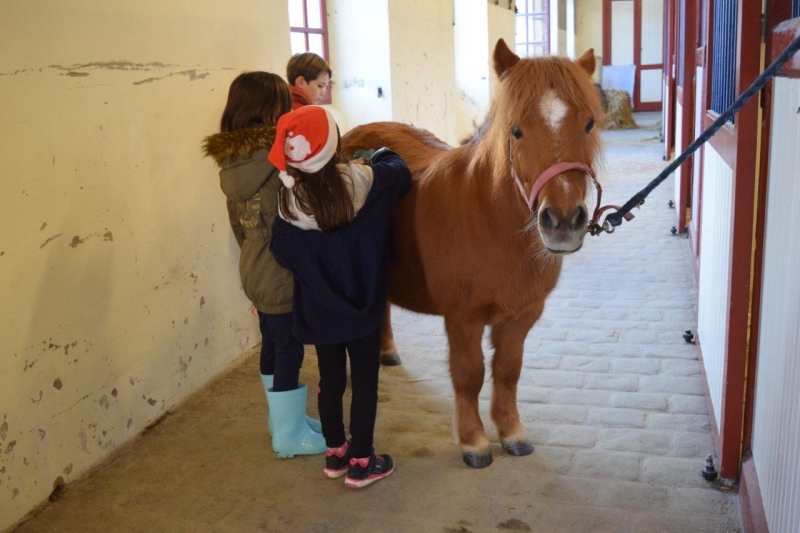 Les après-midis du Haras 