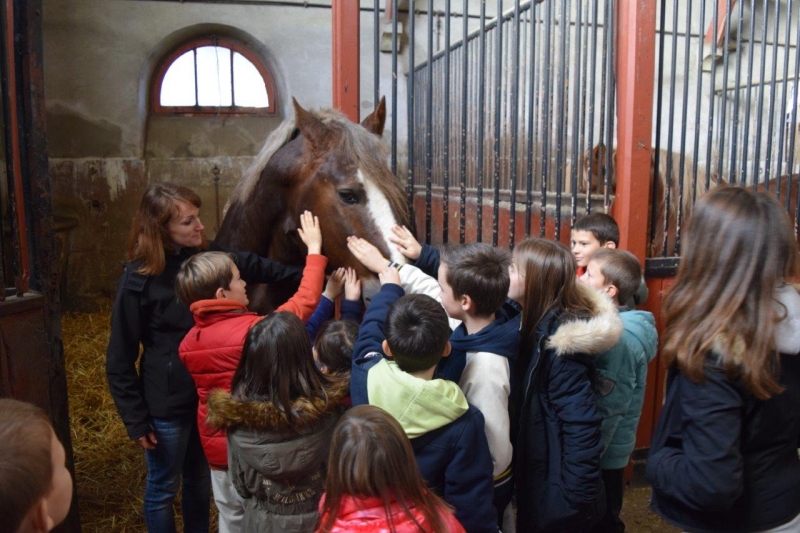 Les après-midis du Haras 