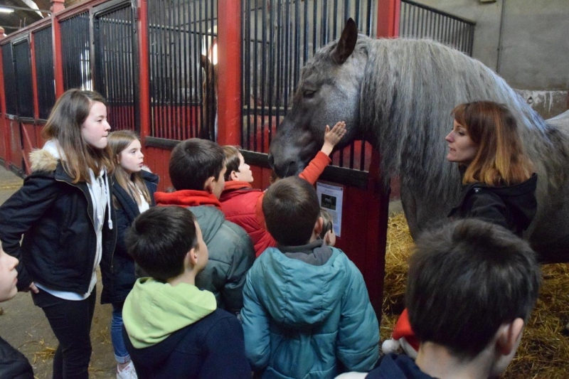 Les après-midis du Haras 