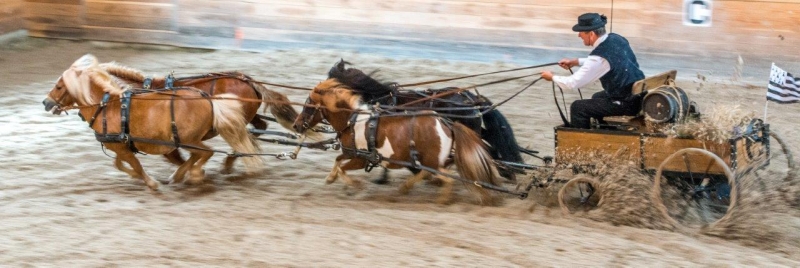 Quelques photos des éditions passées des Jeudis du Haras