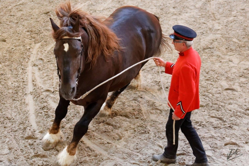 Quelques photos des éditions passées des Jeudis du Haras