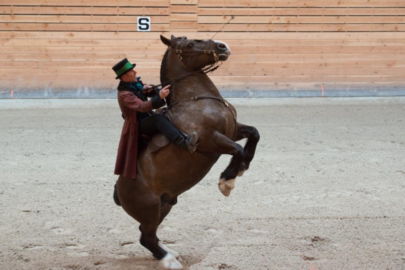 Quelques photos des éditions passées des Jeudis du Haras