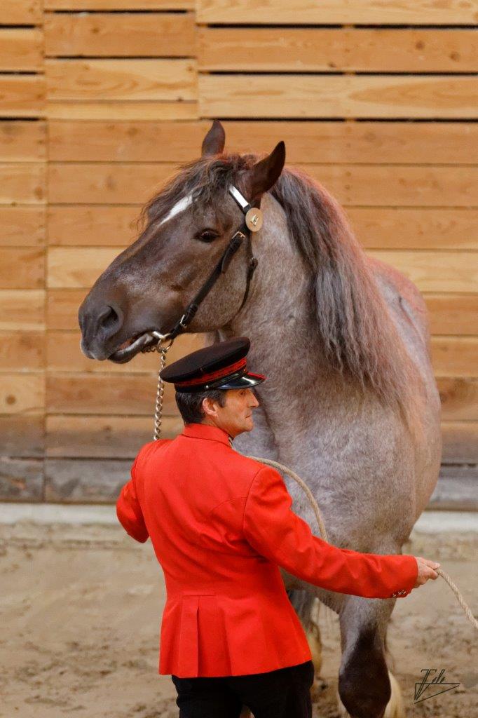 Quelques photos des éditions passées des Jeudis du Haras