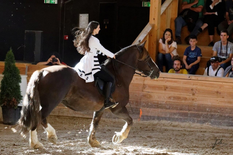 Quelques photos des éditions passées des Jeudis du Haras