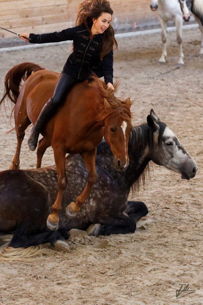 Quelques photos des éditions passées des Jeudis du Haras