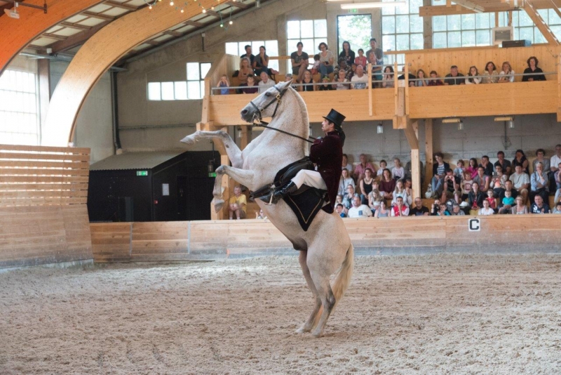 Quelques photos des éditions passées des Jeudis du Haras