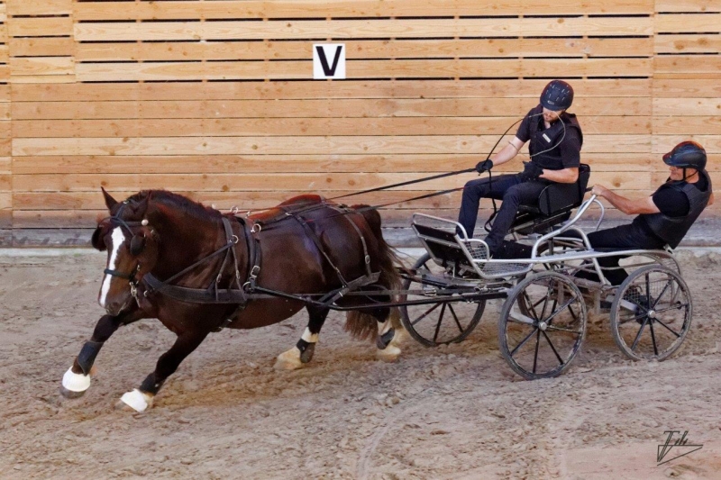 Quelques photos des éditions passées des Jeudis du Haras