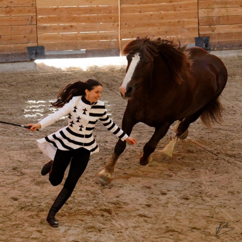 Quelques photos des éditions passées des Jeudis du Haras