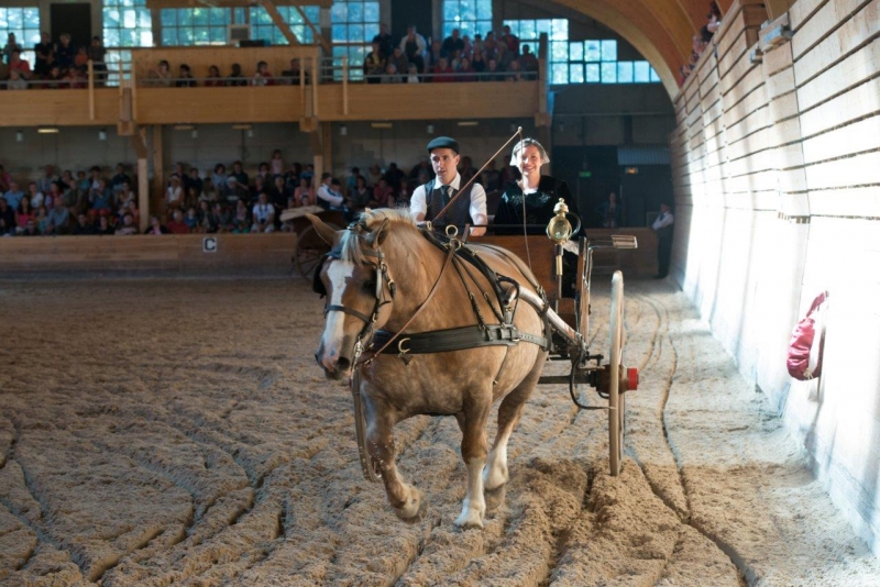 Quelques photos des éditions passées des Jeudis du Haras