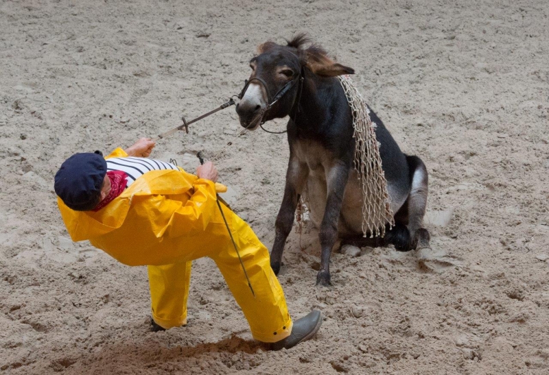 Quelques photos des éditions passées des Jeudis du Haras