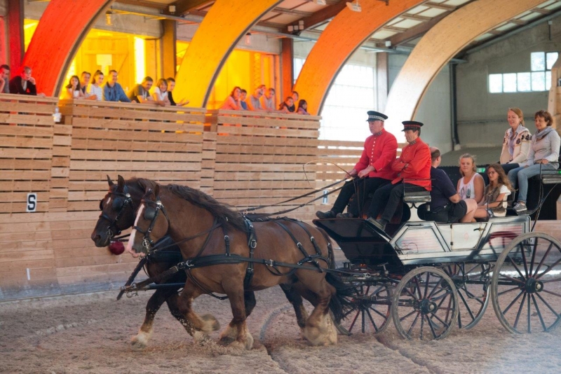 Quelques photos des éditions passées des Jeudis du Haras