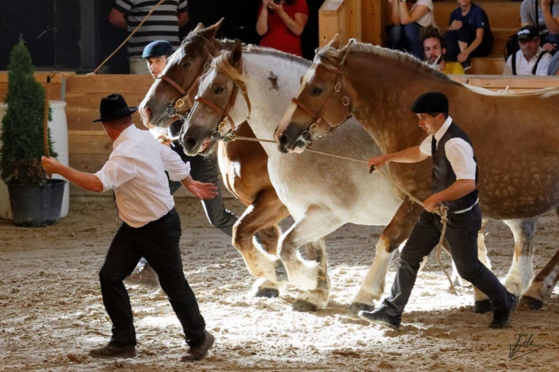 Quelques photos des éditions passées des Jeudis du Haras