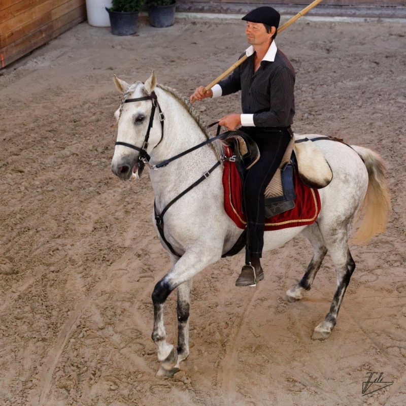 Quelques photos des éditions passées des Jeudis du Haras