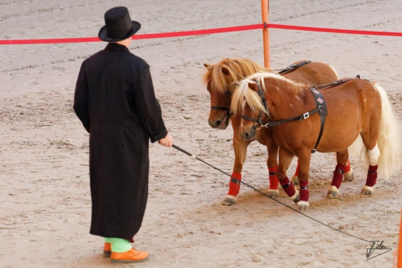 Quelques photos des éditions passées des Jeudis du Haras