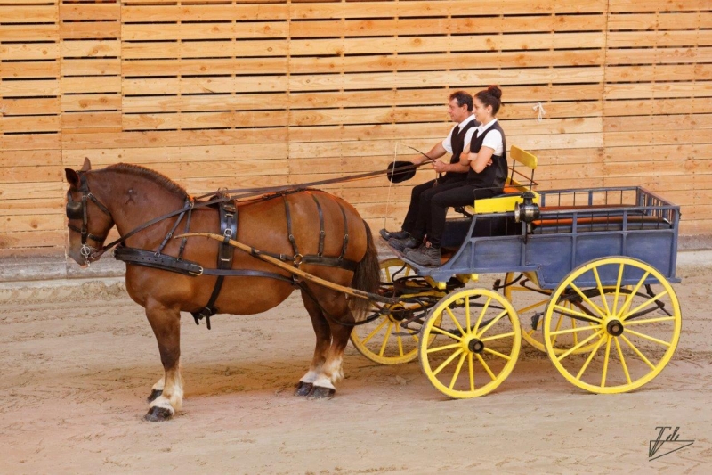 Quelques photos des éditions passées des Jeudis du Haras