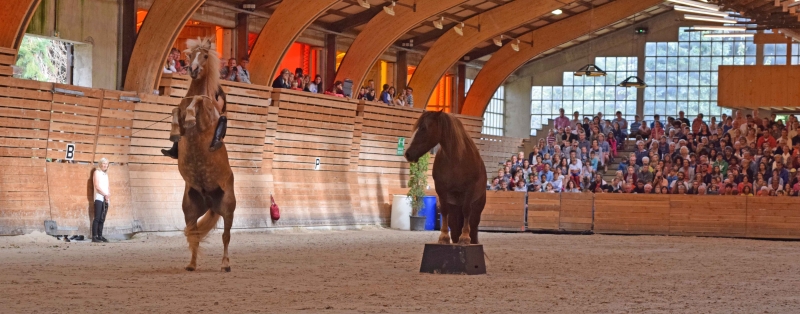 Toi le grand, moi le petit! photos du spectacle 2017