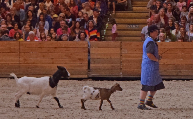 Toi le grand, moi le petit! photos du spectacle 2017