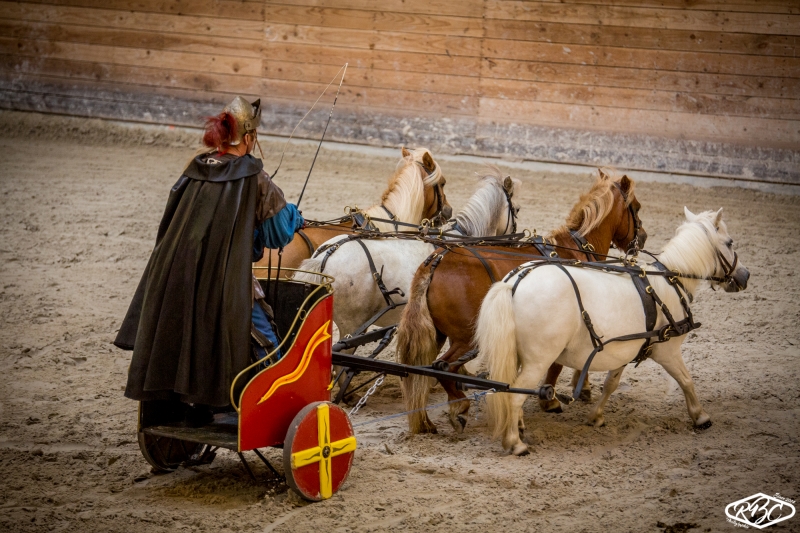 Le Haras National de Lamballe, des animations toute l'année 