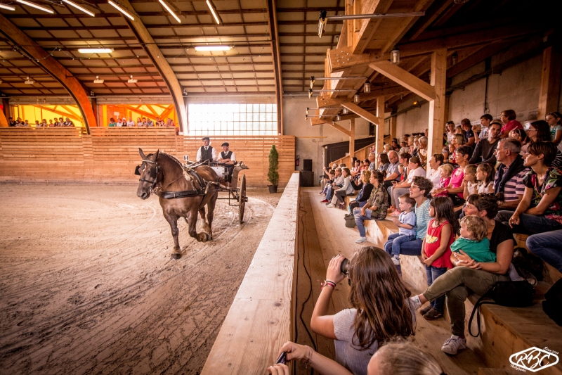 Le Haras National de Lamballe, des animations toute l'année 