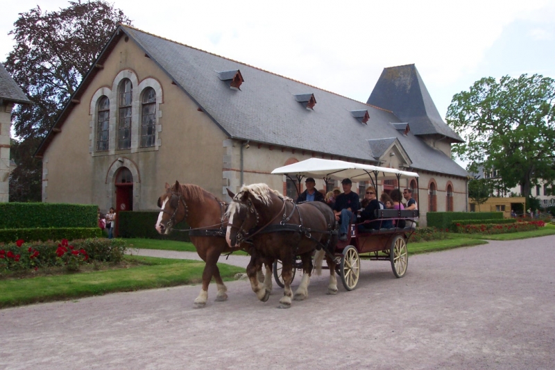 Le Haras National de Lamballe, des animations toute l'année 