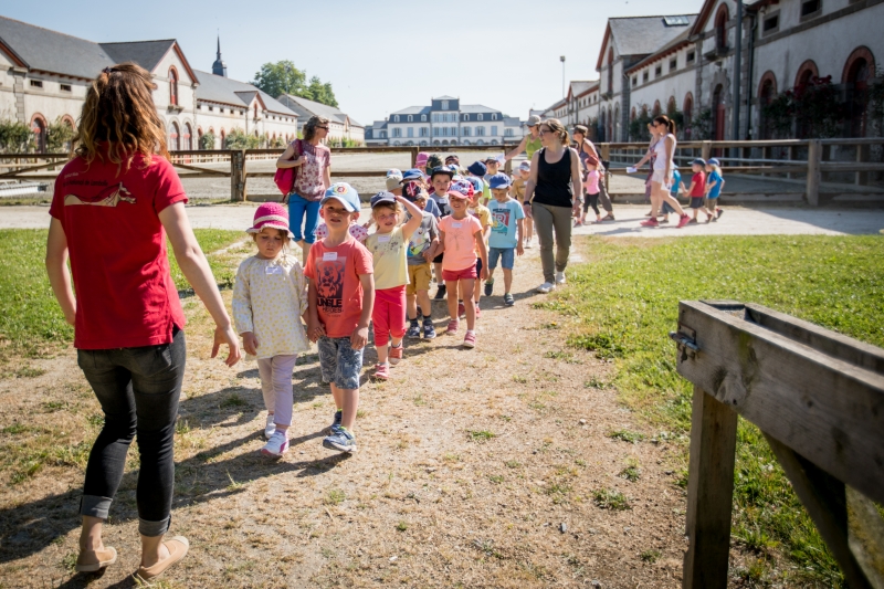 Le Haras National de Lamballe, des animations toute l'année 