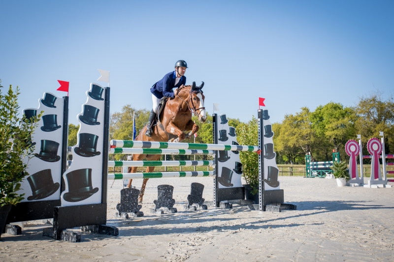 Le Haras National de Lamballe, des animations toute l'année 