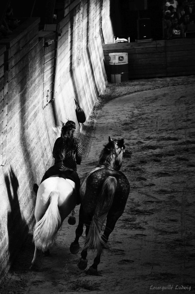 Les Jeudis Du Haras 2018