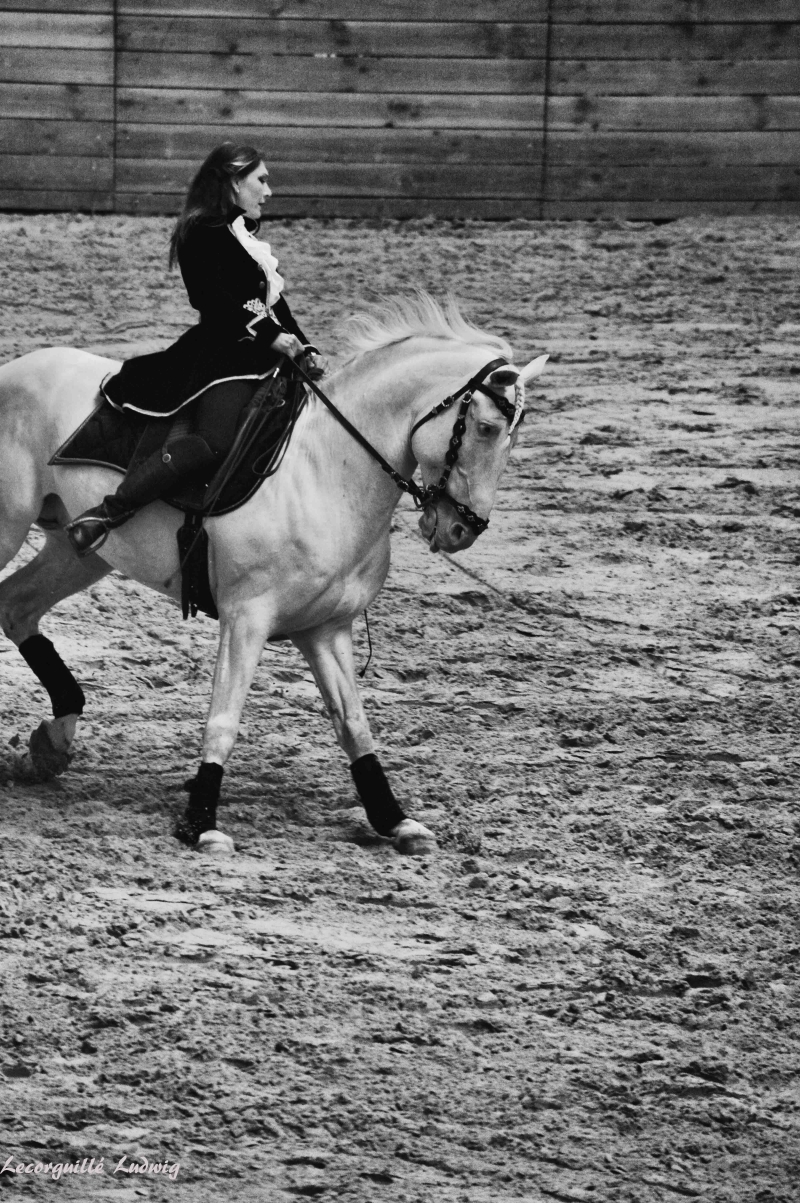 Les Jeudis Du Haras 2018