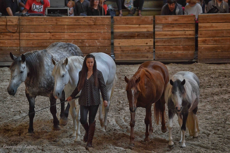 Les Jeudis Du Haras 2018