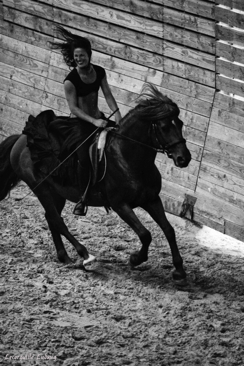 Les Jeudis Du Haras 2018