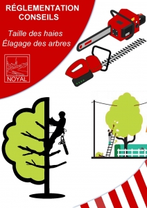 Réglementation et conseils pour la coupe d'arbres, haies et boisements