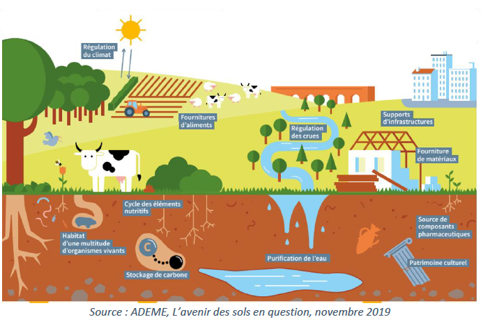 ADEME : avenir des sols en questions, novembre 20219